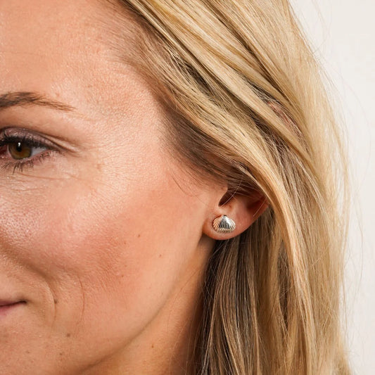 Ohrstecker Herzmuschel - Silber