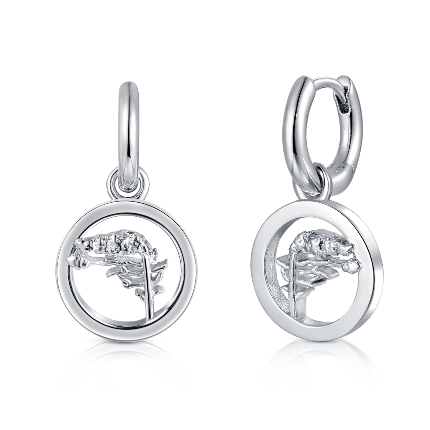 Creole "Windflüchter" im Ring