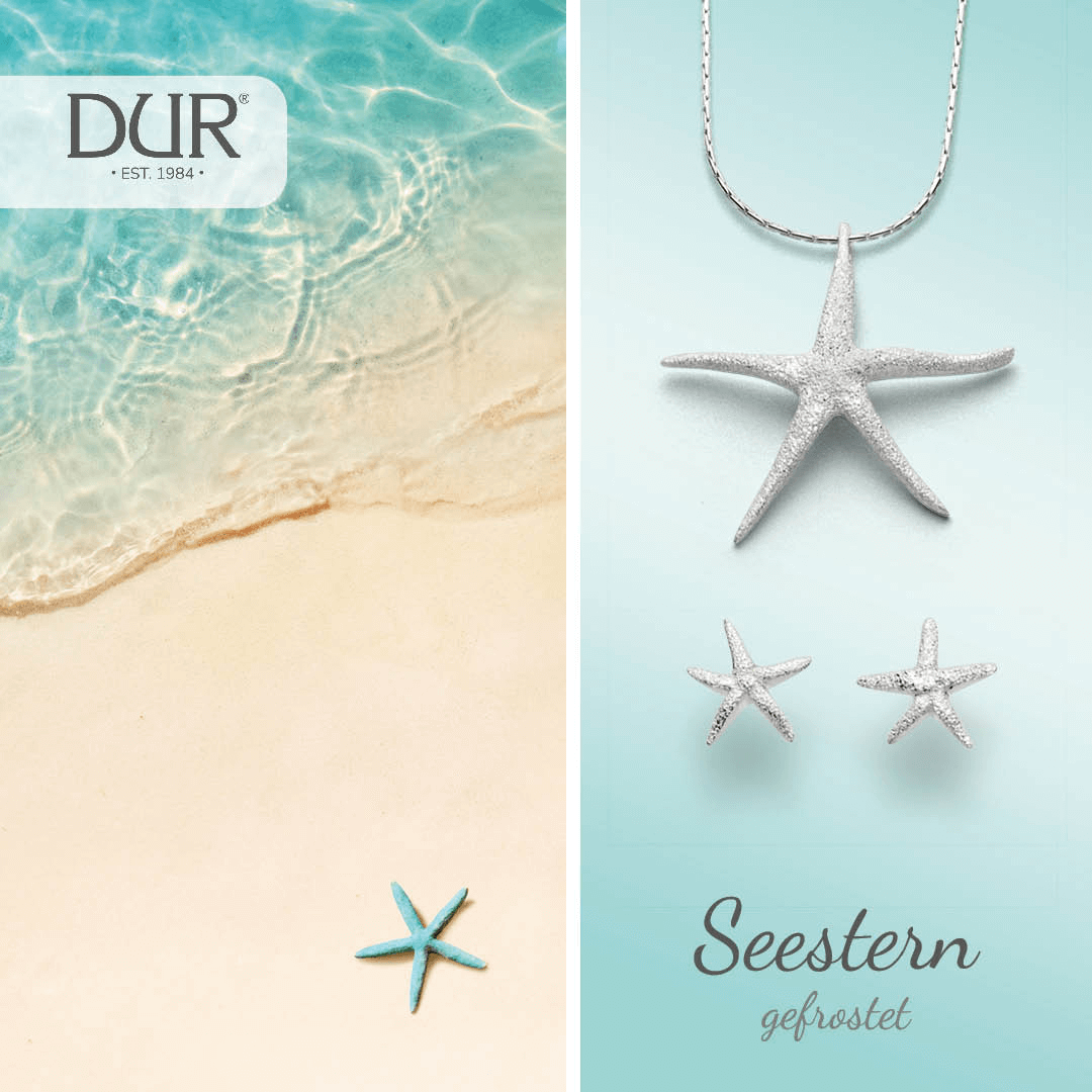 Muschel und Seestern