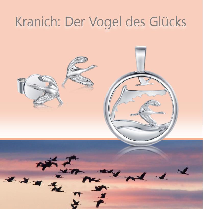 Kranich und Möwe